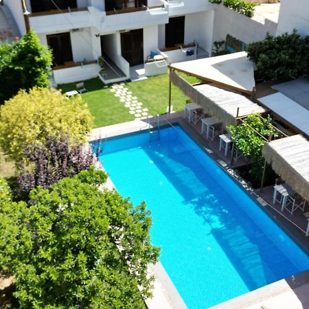 Tree Of Life Art Hotel Agia Marina Zewnętrze zdjęcie